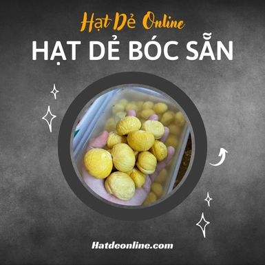Hạt Dẻ Online