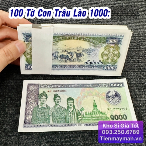 100 Tờ Tiền Con Trâu Lào 1000 Kip