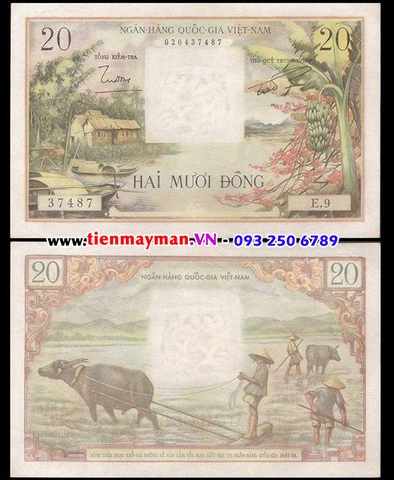 20 Đồng bụi chuối 1955 P-4