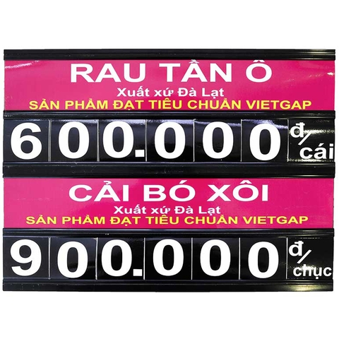 Bộ BG đa năng khổ A3 (2 mặt)