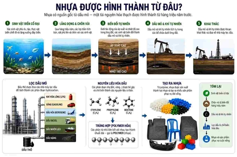Nhựa hình thành như thế nào? Từ dầu mỏ đến thảm ô tô TPE