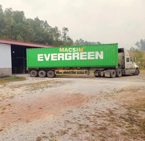 Thảm lót sàn 1 lớp sd3 Vinfast Limo Green 2025- nhãn hiệu Macsim  (Giảm giá nhưng chất lượng không giảm) (1 lớp sd3 ct)