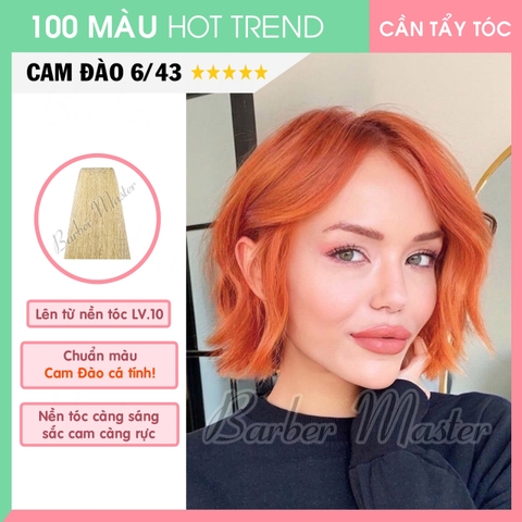 6/43 Cam Đào - Level 10