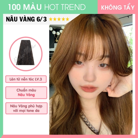 6/3 Nâu Vàng Vừa - Level 3