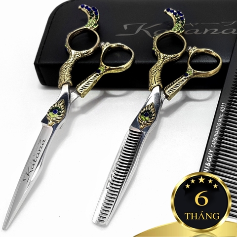 Bộ kéo KataPro M5 - chuyên nghiệp 6.0 (Quà tặng)