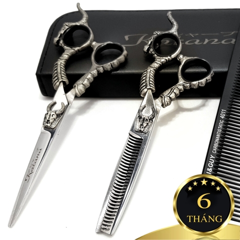 Bộ kéo KataPro M2 - Chuyên nghiệp 6.0 (Quà tặng)