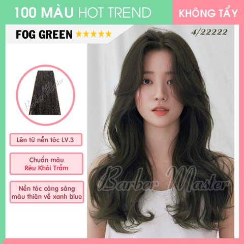 4/22222 Fog Green - Level 3