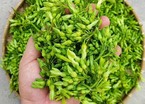 Bông thiên lý (100gr)