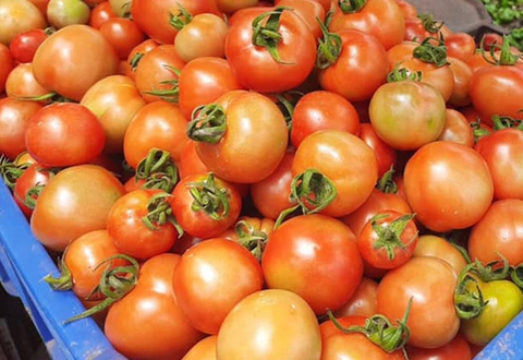 Cà chua đà lạt (500gr)