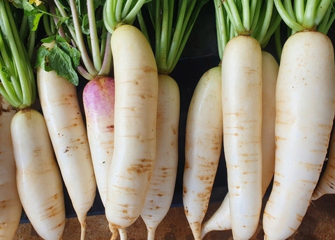 Củ cải trắng (500gr)