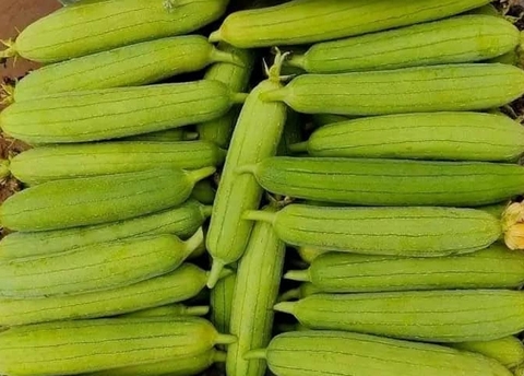 Mướp tươi 500gr