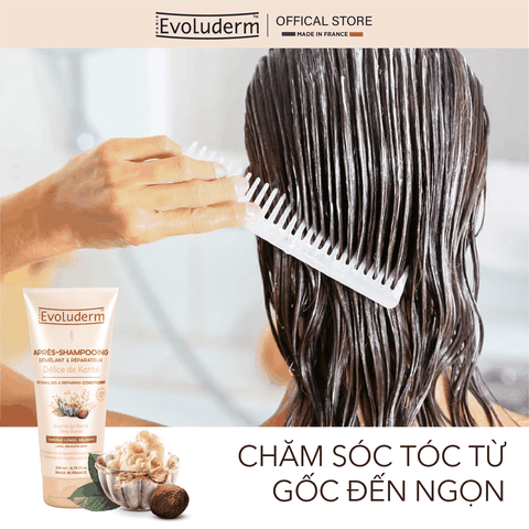 Dầu xả Evoluderm dưỡng chất Bơ Hạt Mỡ sửa chữa và nuôi dưỡng tóc dài mỏng manh 200ml