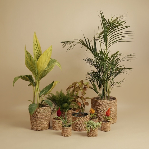 Handwoven Palm Leaf Baskets & Planters - Natural and Sustainable Home Décor - TPPP0002