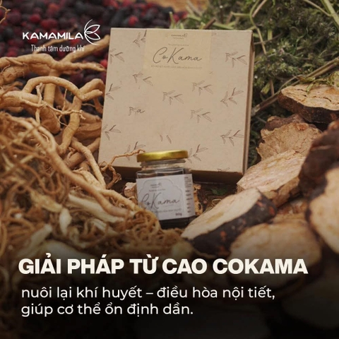 CAO NỘI TIẾT COKAMA