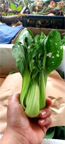 SỰ THẬT CỦA NÔNG NGHIỆP HỮU CƠ