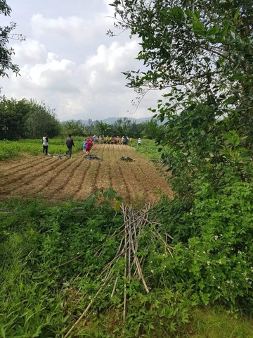 VƯỜN KONTUM