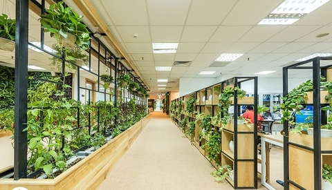 Xu hướng vách ngăn phòng hiện đại – vách ngăn xanh