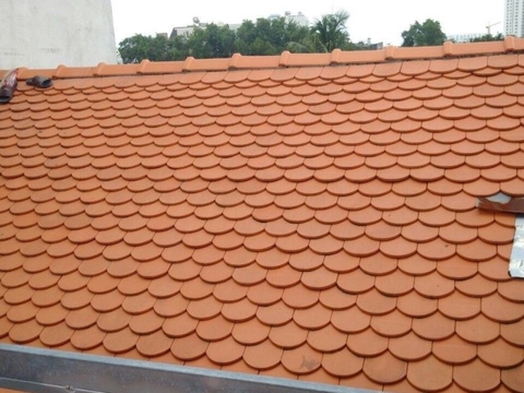 Khám phá ngay Ngói mũi hài là gì? Tại sao lại được mọi người ưa chuộng đến vậy?