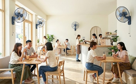 Quạt Treo Tường Panasonic – Mitsubishi – Hatari: Đắt Có Thực Sự Đáng Tiền?