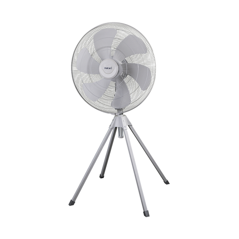 Suncity4455 cá cược trực tuyến Tải App Suncity 4 chân Hatari IQ25M1, Size 63cm, 213w