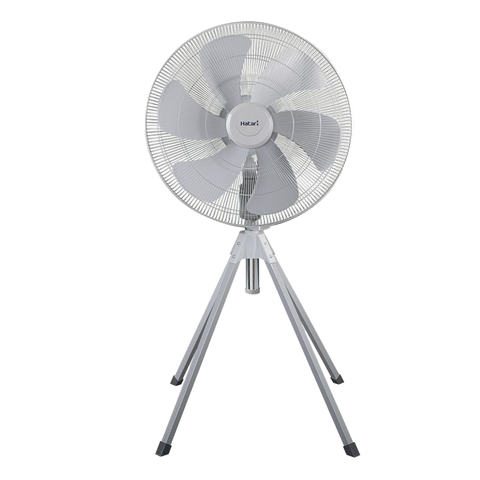 Suncity4455 cá cược trực tuyến Tải App Suncity 4 chân Hatari IQ25M1, Size 63cm, 213w