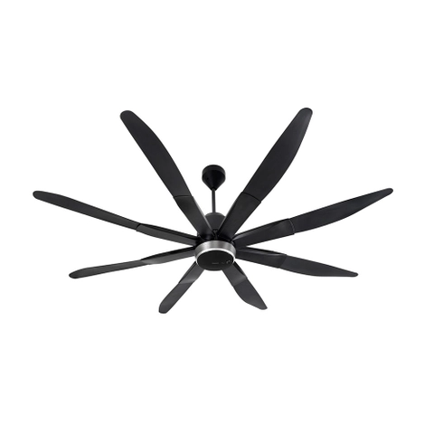 Quạt trần Panasonic F-80ZBR 8 cánh, động cơ DC, 2m, remote