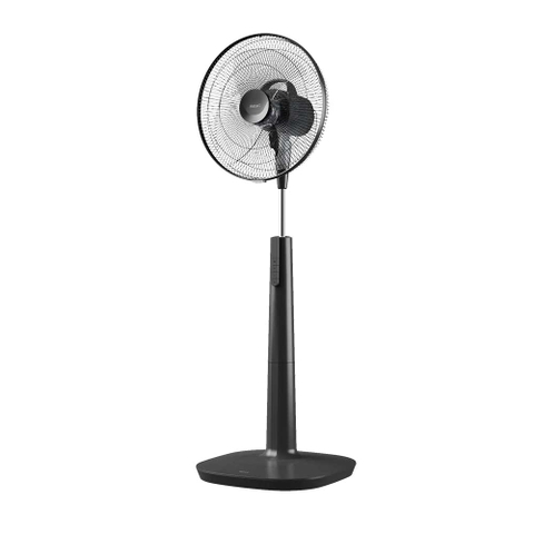 Suncity4455 cá cược trực tuyến Hatari P16M1 Thái lan, sải cánh 40cm, phím bấm cơ