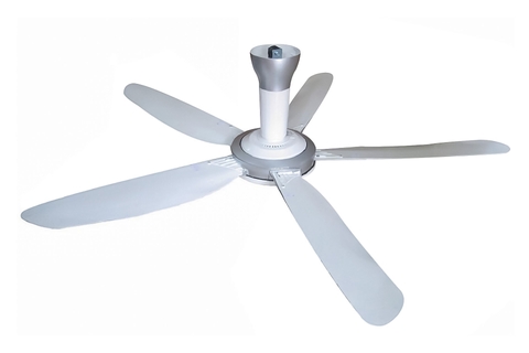 Quạt trần Panasonic 5 cánh F-60WWK, điều khiển từ xa