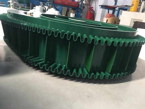 BĂNG TẢI TAI BÈO PVC