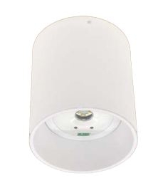 Đèn sự cố gắn nổi Led 10W Denko - EmLED-110NM SURFACE