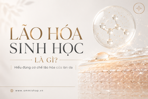 Lão hóa sinh học là gì? Hiểu đúng cơ chế lão hóa của làn da