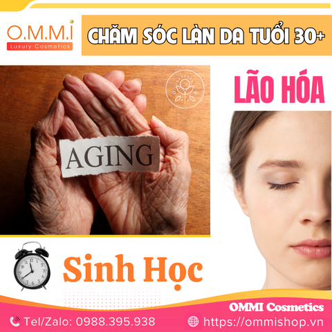 Giải Mã Lão Hóa Sinh Học – Khám Phá Bí Mật Ẩn Sau Tuổi Tác Của Làn Da