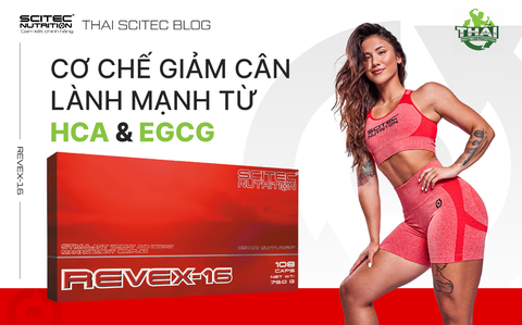 CƠ CHẾ GIẢM CÂN LÀNH MẠNH TỪ HCA VÀ EGCG