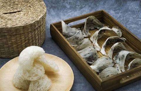 20 lưu ý bảo quản tổ yến thô sau Tết đúng cách