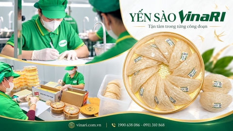 Mua Yến Sào Hà Nội