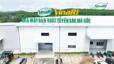 Yến Sào là gì? Ăn yến có béo không, an toàn không?