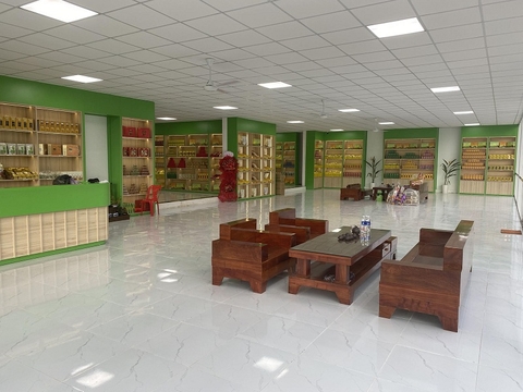 Nhà yến Vinari – Một mái nhà giữa miền xanh, vạn cánh yến tìm về