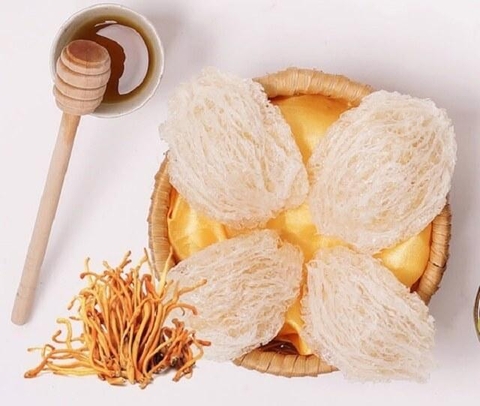 Những lý do yến sào Khánh Hòa được người dùng ưa chuộng và được gọi là “tổ yến vua”