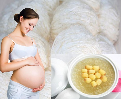 Yến sào dành cho mẹ bầu – Lợi ích và lưu ý khi sử dụng để thai kỳ luôn khỏe mạnh