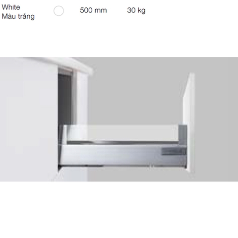 Alto thành kính H199mm