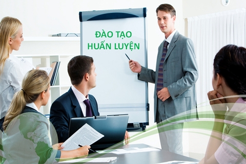 Các mô hình đào tạo và phát triển nguồn nhân lực chất lượng hiện nay