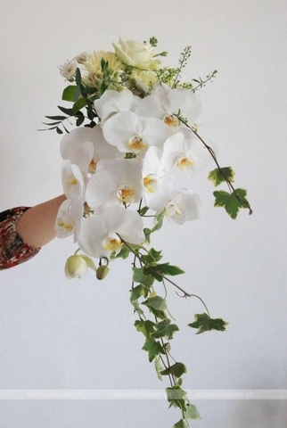 Hoa cưới Cascade: Calista