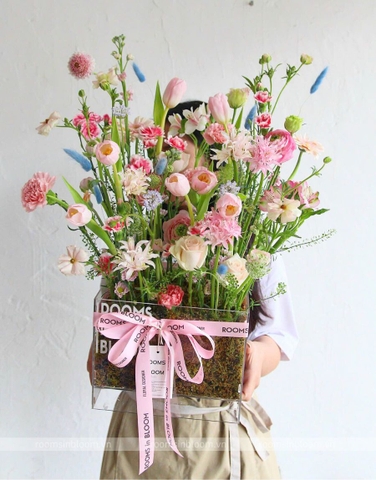 Garden Pot: LE JARDIN DIVISÉ