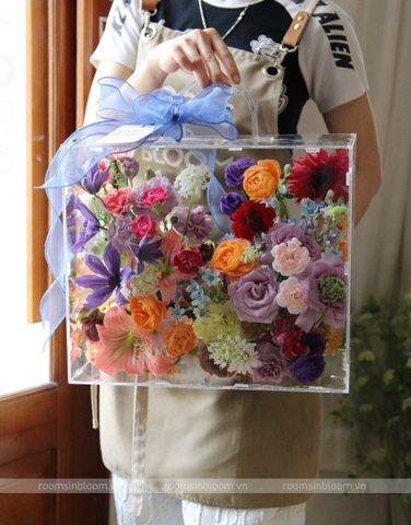 Vali trong suốt: GRACE WITH COLORS