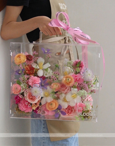 Vali trong suốt: BUBBLE GUM