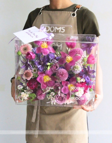 Vali trong suốt: DEEP VIOLET 01