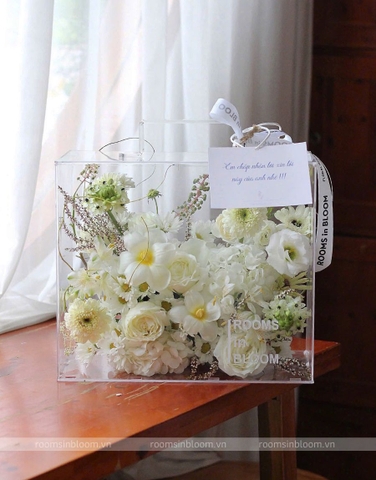 Vali trong suốt: MONCIEL