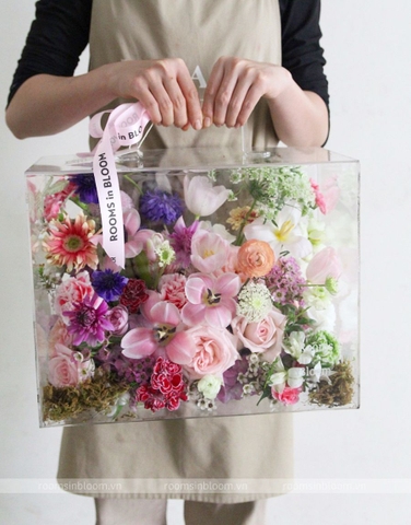 Vali trong suốt: MOSS FLOX
