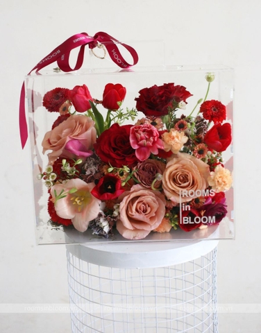 Vali trong suốt: CHERRY COLA