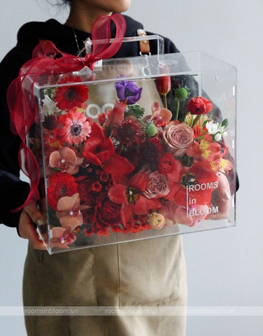 Vali trong suốt: WILD PLUM